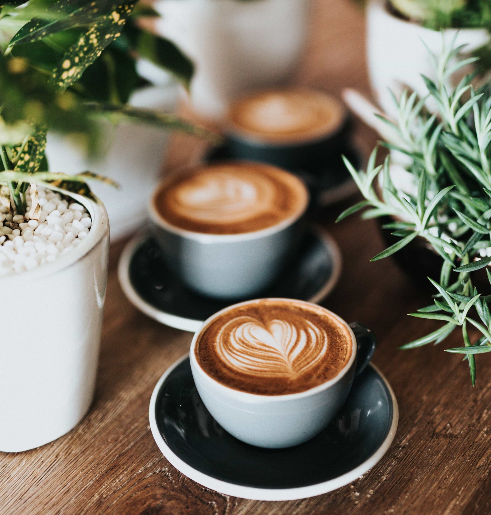 Coffee roasters startups - we all have to start somewhere