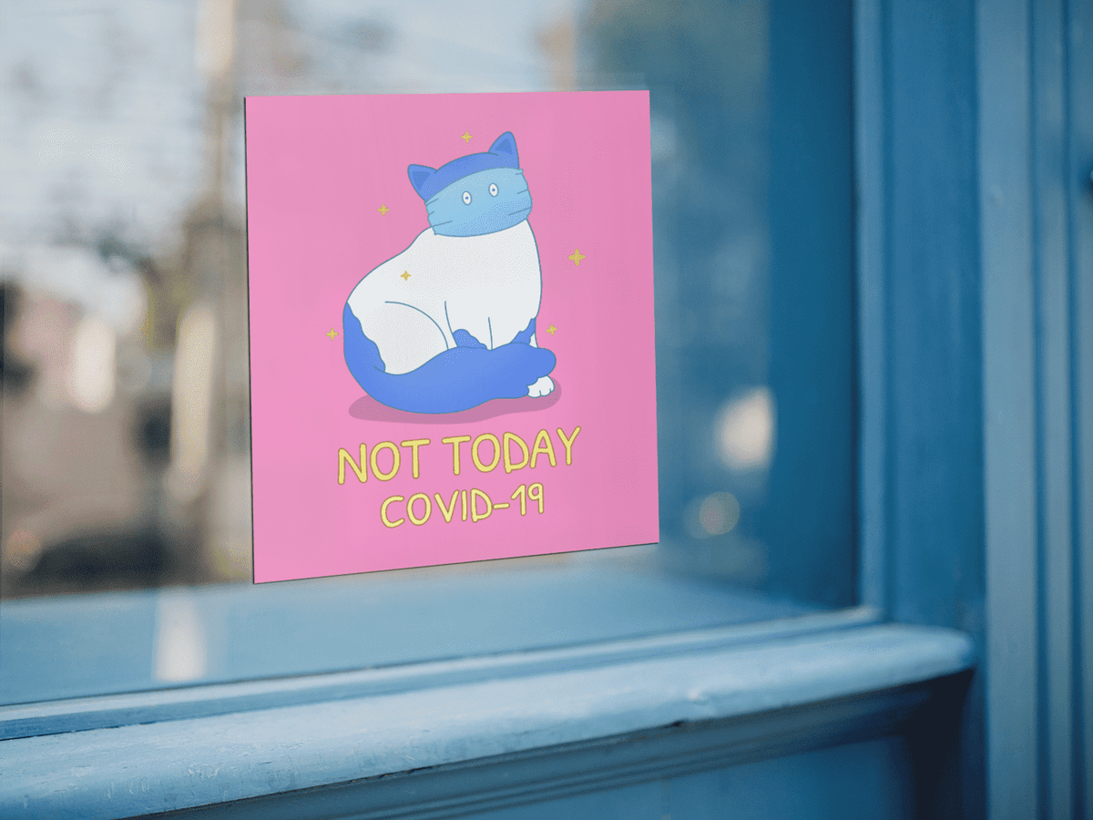 Cute cat on large printed stickers on window.